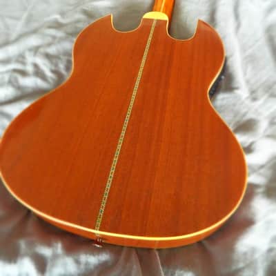 SG Style Acoustic-Electric image 9