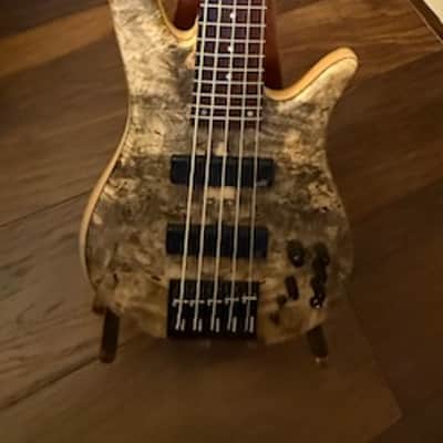 Fodera Monarch Custom Bolt-On 5 string 2015 - Satin image 9