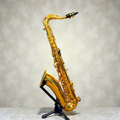 Eb Alto Saxophone with F# Key, Gold Lacquer | Intermediate Student Alto Sax Kit with Case, Stand & Accessories image 1