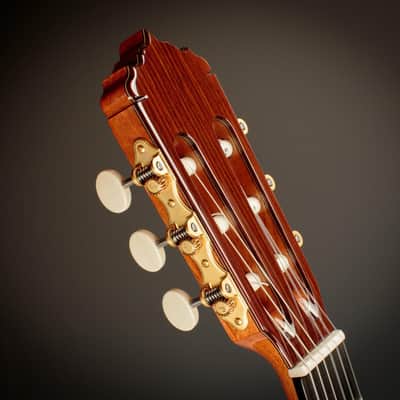 Alhambra Linea Profesional Cedar Classical Guitar image 5