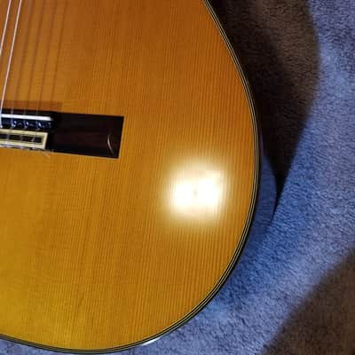 Fernandes/Takamine GC25 in 1975 image 7