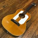 Gibson F-25 Folksinger 1968