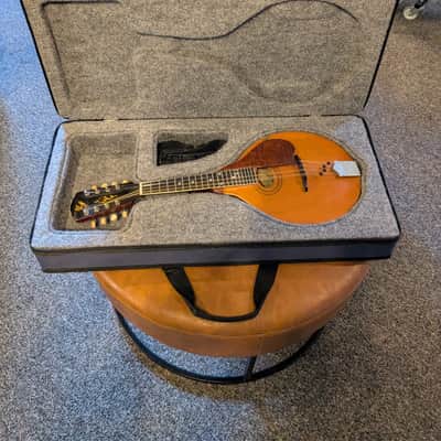 Modern A Mandolin Case image 5