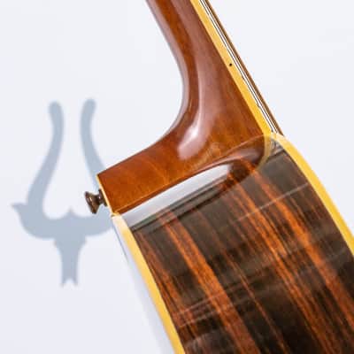 Daion YD-35 Acoustic Six String (built by Yamaki) image 11