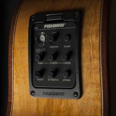 Washburn WCG66SCE Comfort Series Grand Auditorium with Fishman. New with Full Warranty! image 6