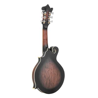 Gold Tone F-6 F-Style 6-String Guitar Mandolin - Open Box image 8