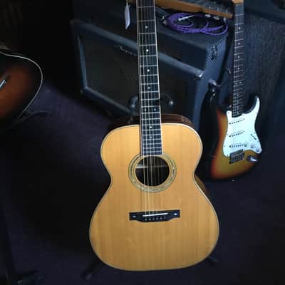 【Singer】Acoustic Imagine Series P01 SINGER electric guitars, acoustic guitars, ukuleles