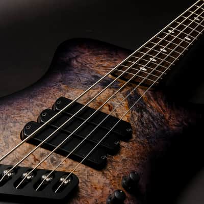Dingwall D-Roc Custom 5 2025 - Trans Black Burst image 8