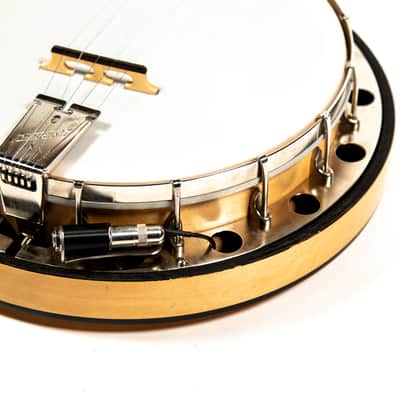 Deering Banjo Owned by Brian Setzer image 6