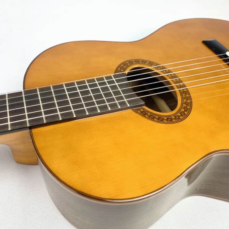Di Giorgio Tarrega Beautiful Bossa Nova Classical Guitar with bag