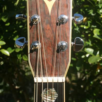 1975 Yairi YW-600 Dreadnought Guitar New Jacaranda Natural+Hard Case image 6