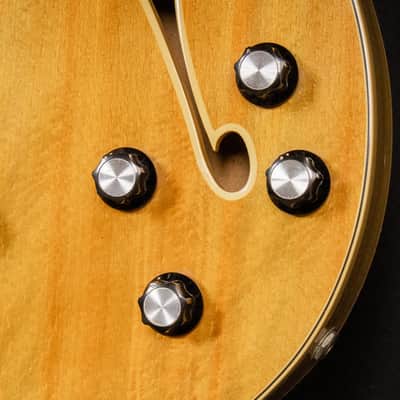 1967 Fender Coronado II Wildwood I image 5