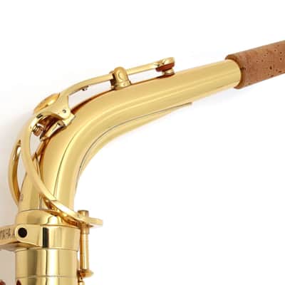 YAMAHA Alto Saxophone YAS-62 62NECK (Current Model) [F45892] (06/11) image 11