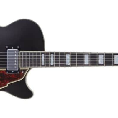 D'Angelico Premier SS Semi-Hollow Body Electric Guitar, Black Flake w/Gig Bag image 18
