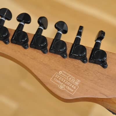 SCHECTER PT Standard PBB Purple Burst Burl / Telecaster type / ST25110052 image 13