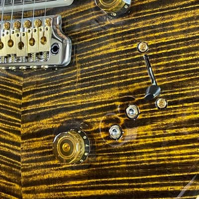 PRS 40th Anniversary Special Semi-hollow 22 Limited Edition Electric Guitar - Yellow Tiger image 6