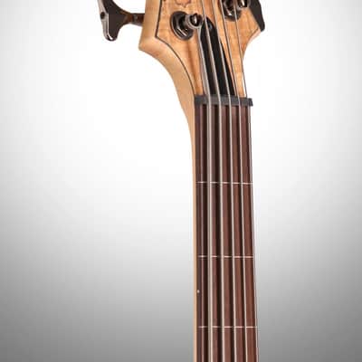 ESP LTD B205 Fretless Electric Bass (5-String) image 8