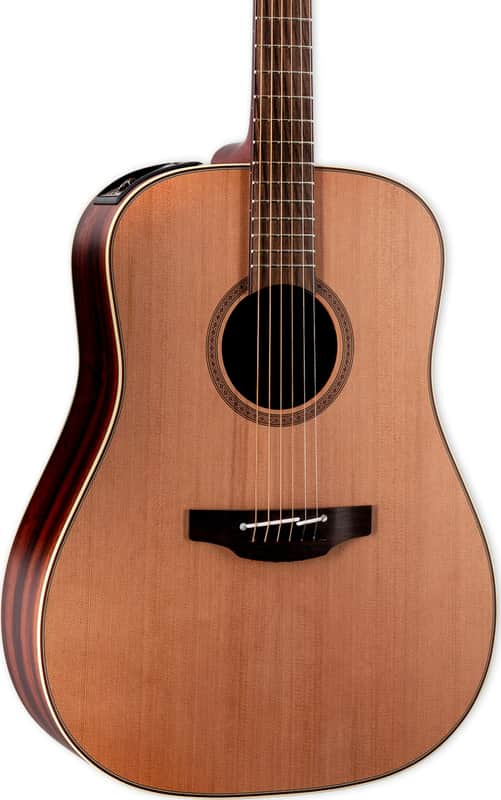 Takamine FN15 AR Limited Amazon Rosewood Acoustic-Electric Guitar w/ Case image 1
