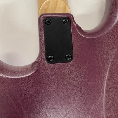 Jackson, Ellsworth Hybrid 2025 - purple on primer image 8