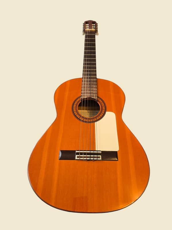 Para Casa Arcangel Fernandez Flamenco Guitar image 1
