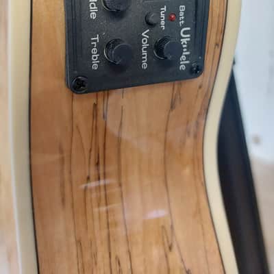 Blackwater Spalted maple tenor eq image 4