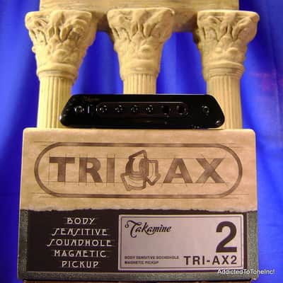 Takamine TRI-AX 2 Acoustic Guitar Pickup CTP1 CTP2 CTP3 CT4DX Modified L R Baggs M80 image 12