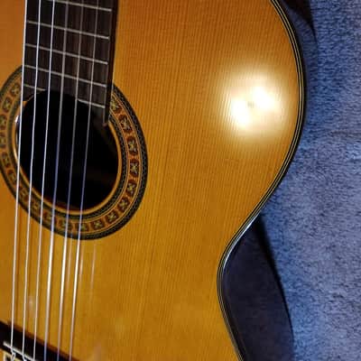 Fernandes/Takamine GC25 in 1975 image 6