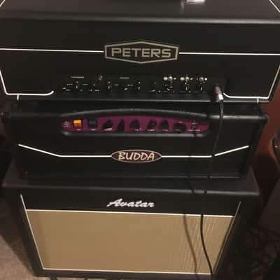 Peters Amplification Dual Channel image 1