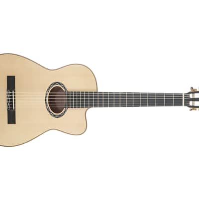 Eastman Cabaret-JB Nylon String Archtop #M2428506 image 5