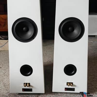 Verity Audio Finn - Gloss White image 6