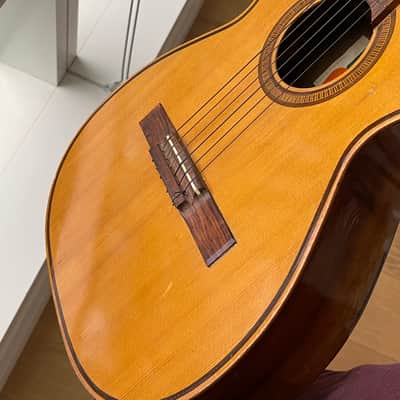 Giannini GN50 Early 1970s - Brazilian Mahogany & Rosewood Varnish image 8