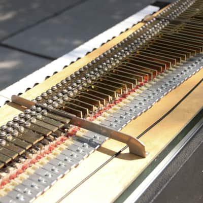 Fender Rhodes 88 with Super Satellite System 1976 image 14