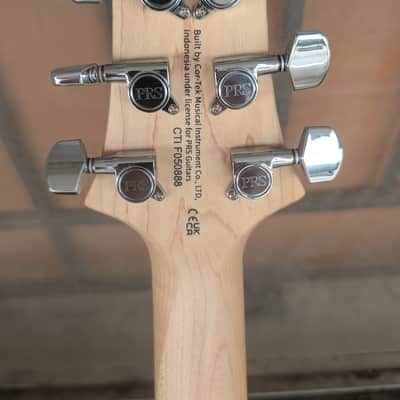 PRS SE Special - Swamp Ash image 10