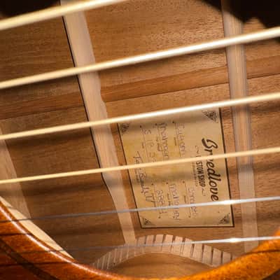 Breedlove Concerto Custom 2023 image 11