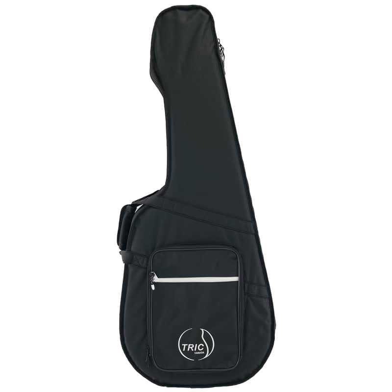 Godin Tric parlor Case image 1