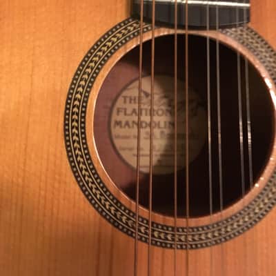 Flatiron 3k Bouzouki image 2
