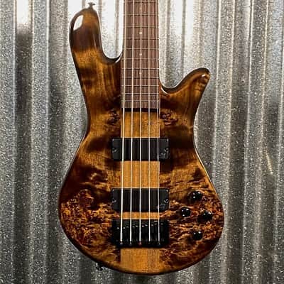 Spector Rex 5 | Reverb