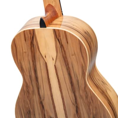 Ortega R20GSNRG Traditional Series Solid Cedar Top Mahogany Neck Nylon 6-String Classical Acoustic Guitar w/Gig Bag image 9