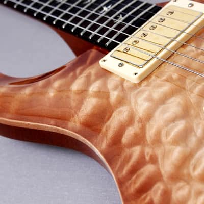 PRS USA Artist Package 20TH Anniversary Custom 22 "Brazillian Rosewood + Natural Burst" (2005) image 8