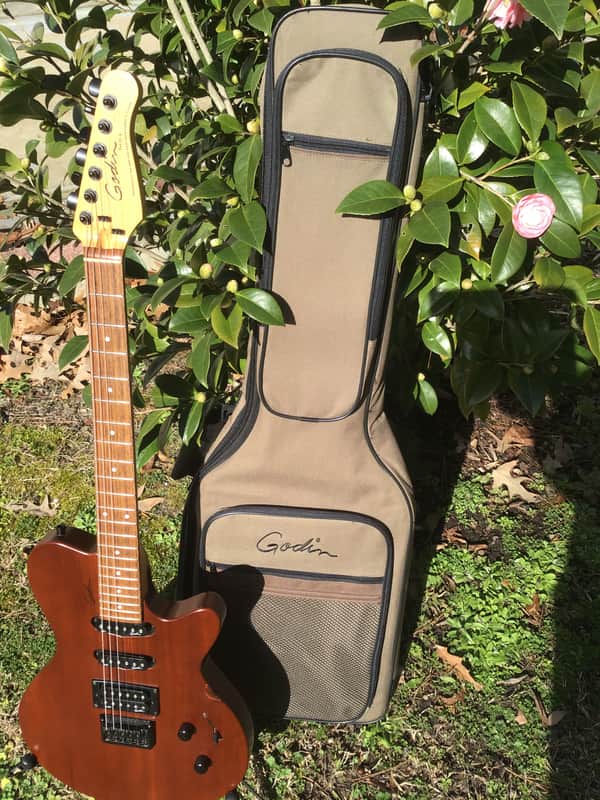 Godin Exit 22 S USA / Canada Mahogany Electric Guitar W/Bag image 1