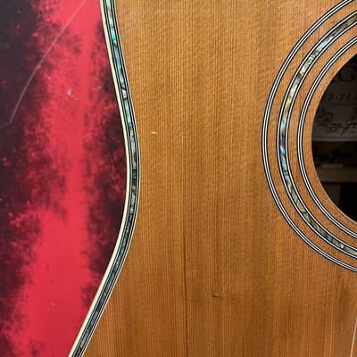 Zager ZAD 80CE Acoustic Guitar (Houston, TX) image 6