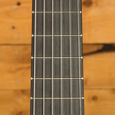 Ibanez AUP10N Piccolo - Purpleheart - Open Pore Natural image 6