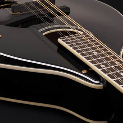 Washburn M1SDLB Bluegrass Series A-Style Mandolin. New with Full Warranty! image 8