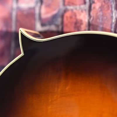 Kentucky Dawg Mandolin image 14