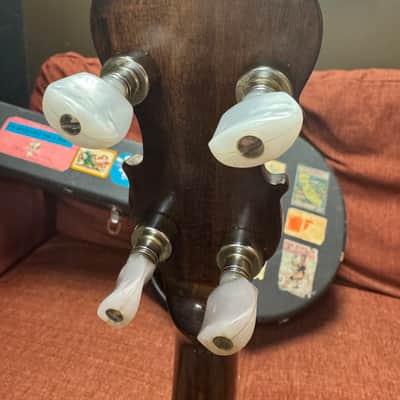 Ibanez Artist Banjo Tree of Life Model 593 1970s image 8