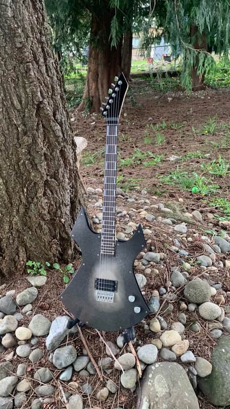 Custom R L James Guitar Custom Animal 2026 - Custom image 1
