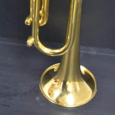 Trompeta Sib Stomvi Master Titanium muy buen estado. image 15