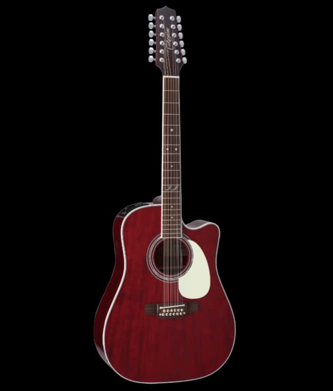 Takamine JJ325SRC Signature Series John Jorgenson Model 12-String