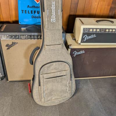 Alhambra Guitars 1C Hybrid Terra Student Classical Guitar w/Gig Bag (Serial #WL1FFP) image 7