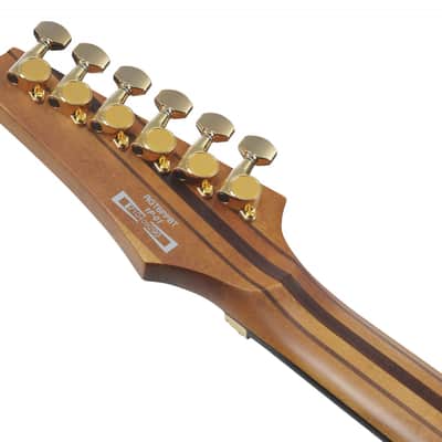 Ibanez RGT1220PB-ABS Premium RGT Electric Guitar 6-String - Antique Brown Stained + Gig Bag image 8